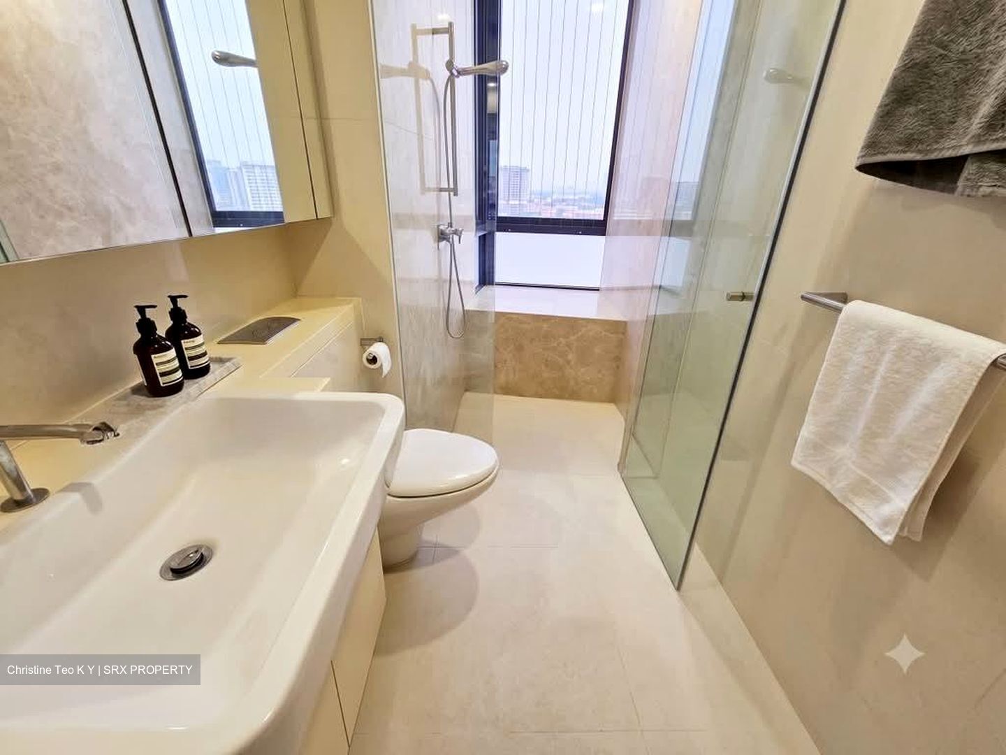 D'Leedon (D10), Condominium #585138601